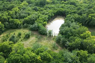 4081 Fm 2736, Campbell, TX 75422 - Photo 2