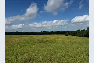 001 Fm 2990, Ladonia, TX 75449 - Photo 8