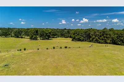 Tbd Fm 773, Murchison, TX 75778 - Photo 18