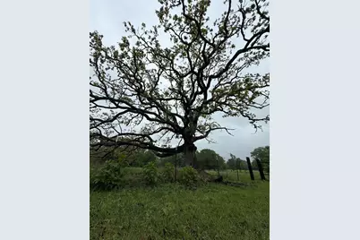Tbd Fm 773, Murchison, TX 75778 - Photo 8