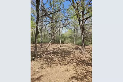 533 Lcr 721, Kosse, TX 76653 - Photo 12