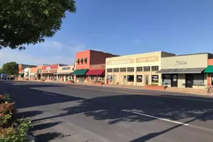 209 W Dallas St, Mansfield, TX 76063 - Photo 34