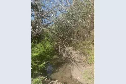 10843 E Line Road, Trenton, TX 75490 - Photo 10