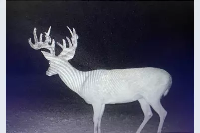 4025 County Road 175, Stephenville, TX 76401 - Photo 4