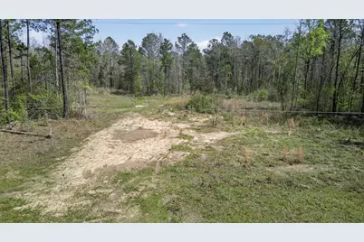 Hwy 49 County Road 3612, Jefferson, TX 75657 - Photo 14