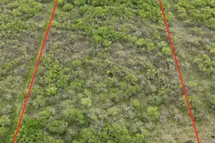 Tbd SE County Road 1280, Streetman, TX 75859 - Photo 1