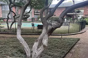 6112 Averill Way, Dallas, TX 75225 - Photo 16