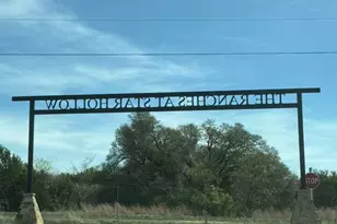 205 Gilmore Ct, Lipan, TX 76462 - Photo 1