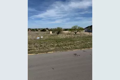 205 Gilmore Court, Lipan, TX 76462 - Photo 4