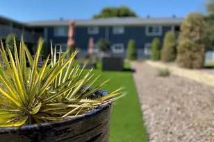 4950 Live Oak St, Dallas, TX 75206 - Photo 10