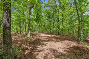 670 CR-1699, Alba, TX 75410 - Photo 32