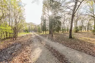 201 Rs County Rd 1399, Point, TX 75472 - Photo 28