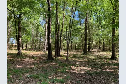 4280 County Road 3703, Athens, TX 75752 - Photo 38