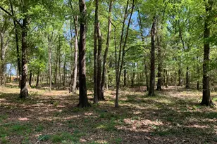 4280 County Rd 3703, Athens, TX 75752 - Photo 38