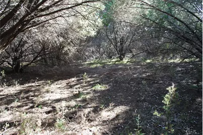 8182 Cedar Crest Drive, Whitney, TX 76692 - Photo 2