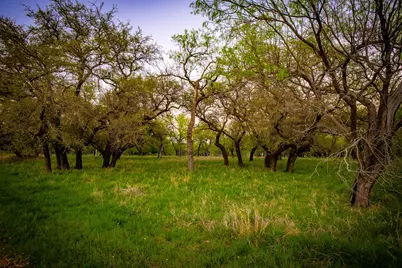 Lot 19 Firewheel, Graford, TX 76449 - Photo 18