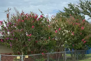 104 County Rd 1296, Morgan, TX 76671 - Photo 6