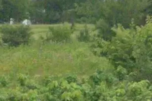 00 Fm 2450, Sanger, TX 76266 - Photo 1