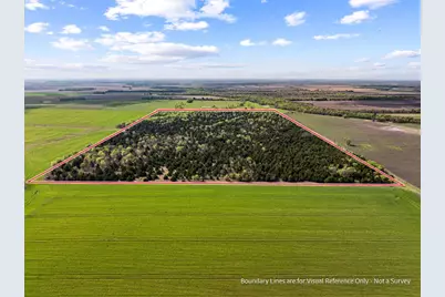 Tbd County Road 3230, Ben Franklin, TX 75415 - Photo 10