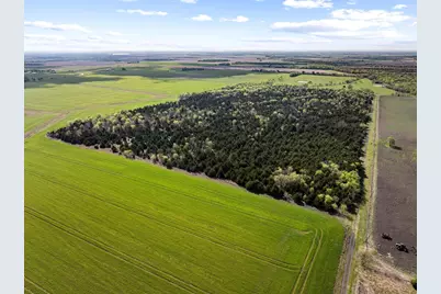 Tbd County Road 3230, Ben Franklin, TX 75415 - Photo 14