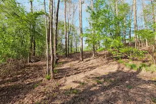 1132 County Rd 4470, Winnsboro, TX 75494 - Photo 40