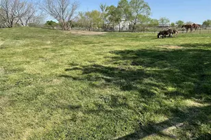 394 Emerald Glenn Ln, Pilot Point, TX 76258 - Photo 28