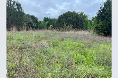 207 Morning Dove Court, Cresson, TX 76035 - Photo 22