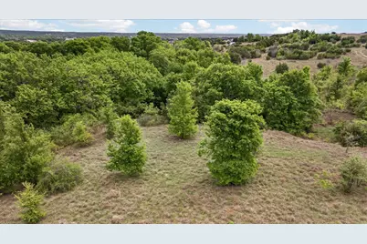 207 Morning Dove Court, Cresson, TX 76035 - Photo 20