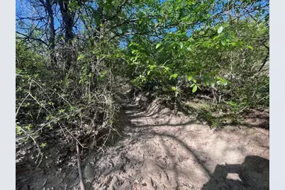 207 Morning Dove Court, Cresson, TX 76035 - Photo 6