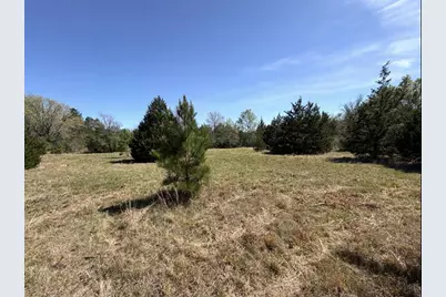 Tbd Fm 542, Oakwood, TX 75855 - Photo 2