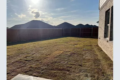 329 Sage Street, Anna, TX 75409 - Photo 24