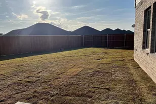 329 Sage St, Anna, TX 75409 - Photo 24