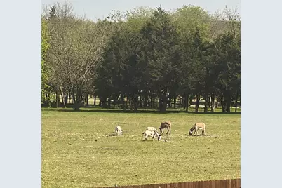 1704 Dunbrook Road, McKinney, TX 75071 - Photo 16