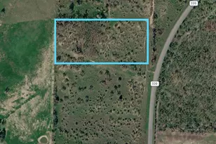 Tbd Fm 339, Groesbeck, TX 76642 - Photo 1