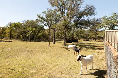 970 Live Oak Road, Santo, TX 76472 - Photo 36