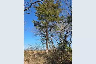 Tbd County Road 4612, Sulphur Springs, TX 75482 - Photo 10