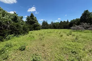 1919 Co Rd 4371, Decatur, TX 76234 - Photo 38
