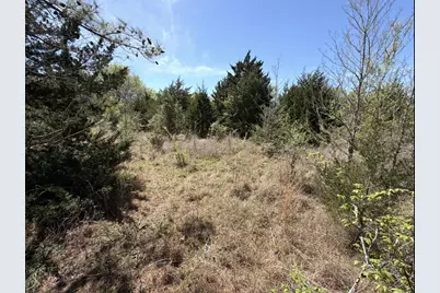 Tract 2 Fm 542, Oakwood, TX 75855 - Photo 8