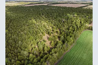 Tbd Fm 198, Cooper, TX 75432 - Photo 2