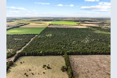 Tbd Fm 198, Cooper, TX 75432 - Photo 4
