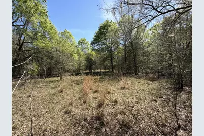 Tract 3 Fm 542, Oakwood, TX 75855 - Photo 6