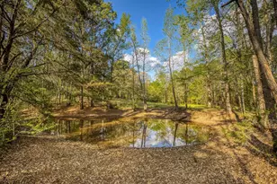 5850 Fm 1249, Kilgore, TX 75662 - Photo 10