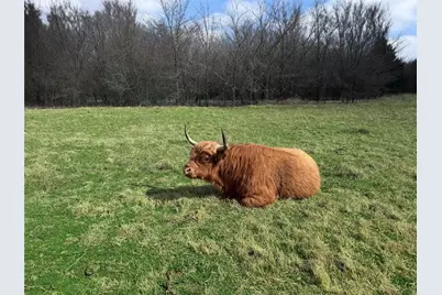 4081 Fm 2736 #D, Campbell, TX 75422 - Photo 12