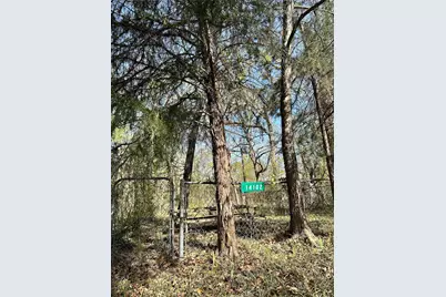 14110 Austin Street, Log Cabin, TX 75148 - Photo 4