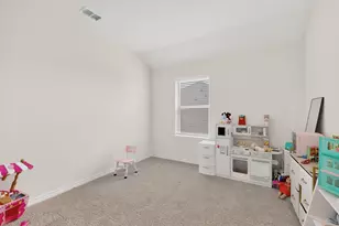 10005 Tin Star St, Aubrey, TX 76227 - Photo 24