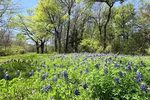 6239 FM 879, Ennis, TX 75119 - Photo 34