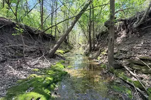 6239 FM 879, Ennis, TX 75119 - Photo 38