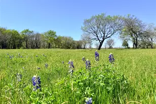 6239 FM 879, Ennis, TX 75119 - Photo 30