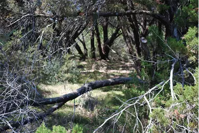 19016 Bluebonnet Drive, Whitney, TX 76692 - Photo 12