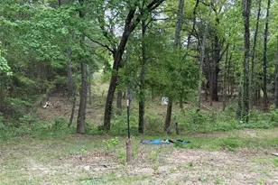 1014 Co Rd 3226, Quitman, TX 75783 - Photo 24